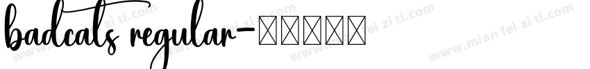 badcats regular字体转换